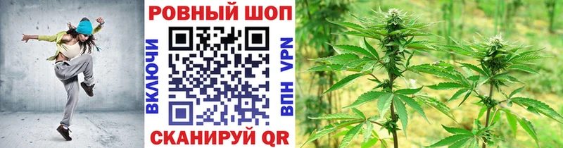 MDMA Олонец