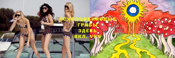 соль ск Алексеевка